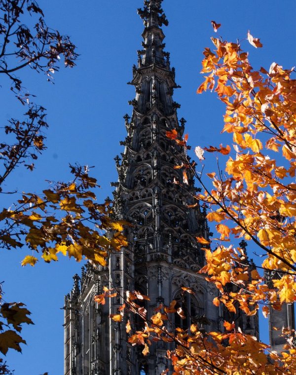 pdf转word App 主界面数据看板风格插画，手机屏幕里排布着文档列表、转换进度条与格式还原度指标，深色背景上薄荷青高亮，呈现出一种安静而专注的工作氛围
